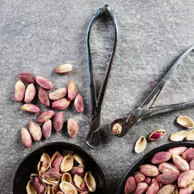 Antep Fıstık Kıracağı - 2