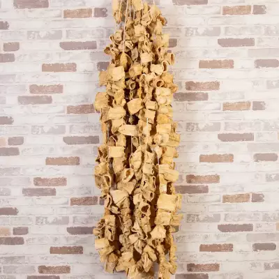 Dolmalık Kuru Kabak - 2