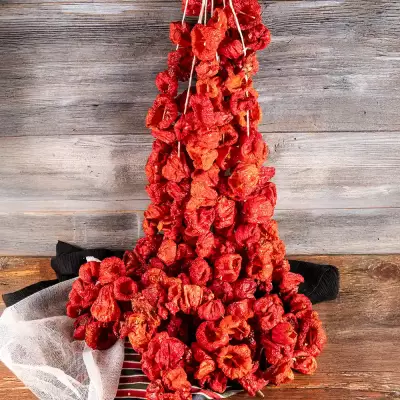 Dolmalık Kuru Çok Acı Kırmızı Biber 45/50 Adet Dizi - 4