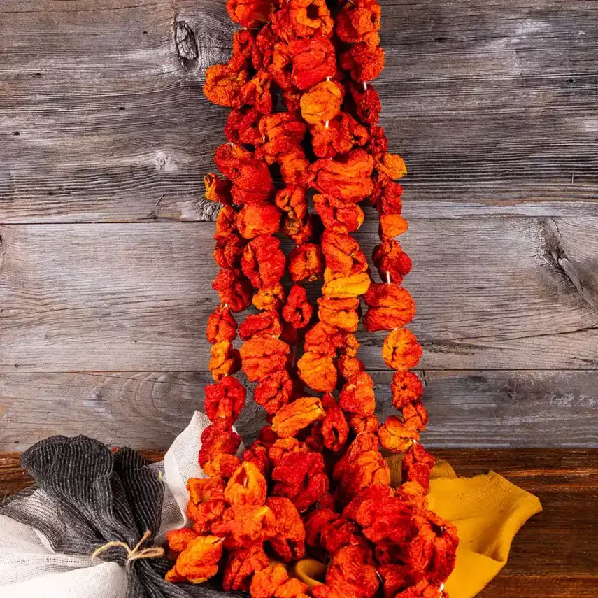  Dolmalık Kuru Tatlı Biber  - 1