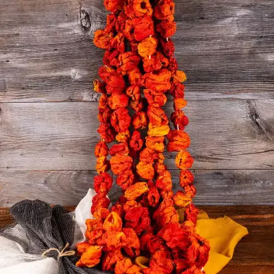  Dolmalık Kuru Tatlı Biber 