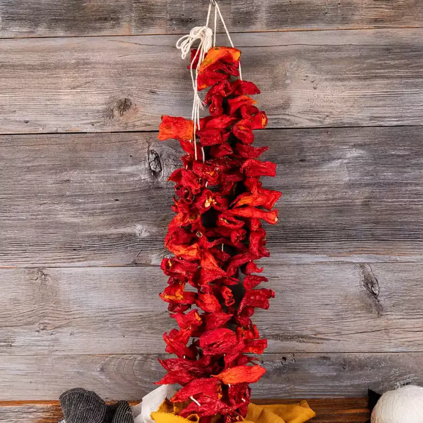 Dolmalık Kuru Kapya Biber  - 3