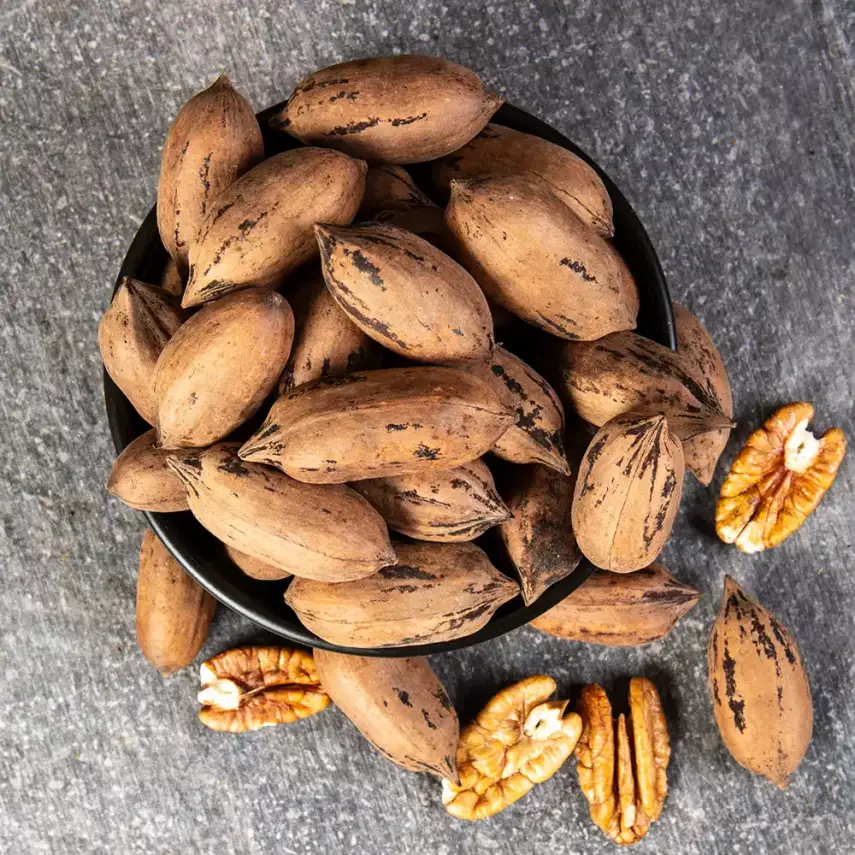 Kabuklu Pikan Cevizi  - 2