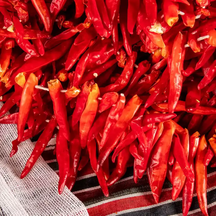 Kuru Cin Biberi | Çok Acı | 180/200 Dizim - 3