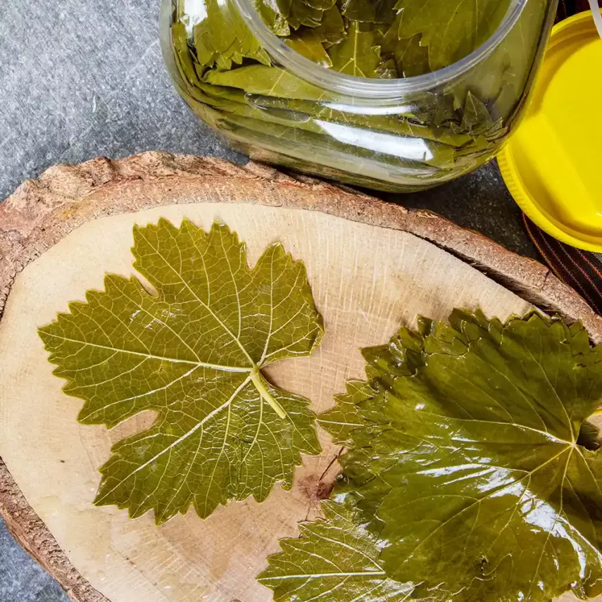  Salamura Asma Bağ Yaprağı 1000 g Bidon - 3