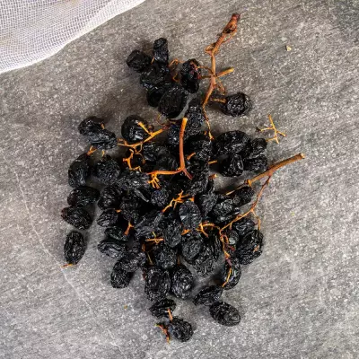 Salkım Kara Üzüm - 4