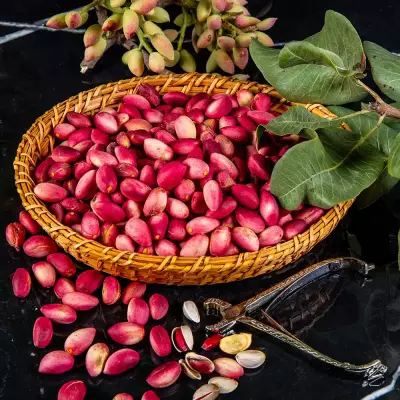 Taze Yaş Kırmızı Kabuklu Ben Antep Fıstığı - 2